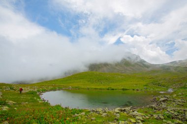Kackar Dağları Ulusal Parkı, Doğa ve Yaşam