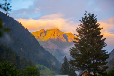 Kackar Dağları Ulusal Parkı, Doğa ve Yaşam