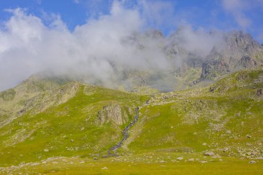 Kackar Dağları Ulusal Parkı, Doğa ve Yaşam