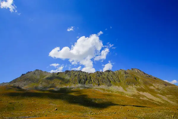 stock image Kackar Mountains National Park, Nature and life