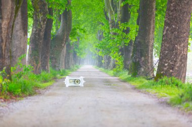 Bursa, Dudakl köyü. Yaklaşık 1,5 kilometre uzunluğundaki bu yol, önünüzde uzanır. Tıpkı uçak ağaçlarıyla süslenmiş bir koridor gibi..