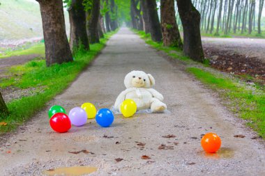 Bursa, Dudakl köyü. Yaklaşık 1,5 kilometre uzunluğundaki bu yol, önünüzde uzanır. Tıpkı uçak ağaçlarıyla süslenmiş bir koridor gibi..