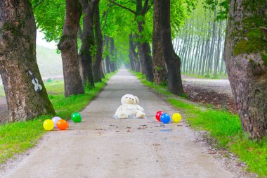 Bursa, Dudakl köyü. Yaklaşık 1,5 kilometre uzunluğundaki bu yol, önünüzde uzanır. Tıpkı uçak ağaçlarıyla süslenmiş bir koridor gibi..