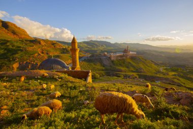 Ishak Paşa Sarayı, Ar. 'ın Doubayazt ilçesine bağlı bir saraydır. Sarayın inşaatı 1685 yılında başladı ve 1784 yılında tamamlandı..