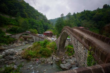 İkiz Köprüler, Artvin 'in Artvin ilçesinin Arhavi ilçesine bağlı iki komşu köprü..