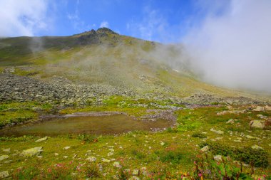 Karagol, Türkiye 'nin Karadeniz bölgesinde, Giresun iline bağlı bir bölgedir..
