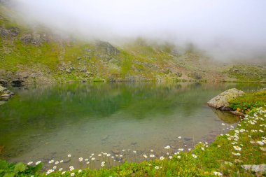 Karagol, Türkiye 'nin Karadeniz bölgesinde, Giresun iline bağlı bir bölgedir..
