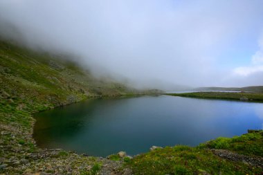 Karagol, Türkiye 'nin Karadeniz bölgesinde, Giresun iline bağlı bir bölgedir..