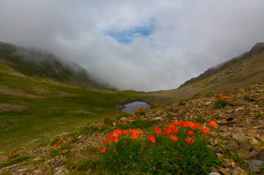 Karagol, Türkiye 'nin Karadeniz bölgesinde, Giresun iline bağlı bir bölgedir..
