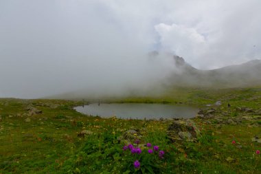 Karagol, Türkiye 'nin Karadeniz bölgesinde, Giresun iline bağlı bir bölgedir..