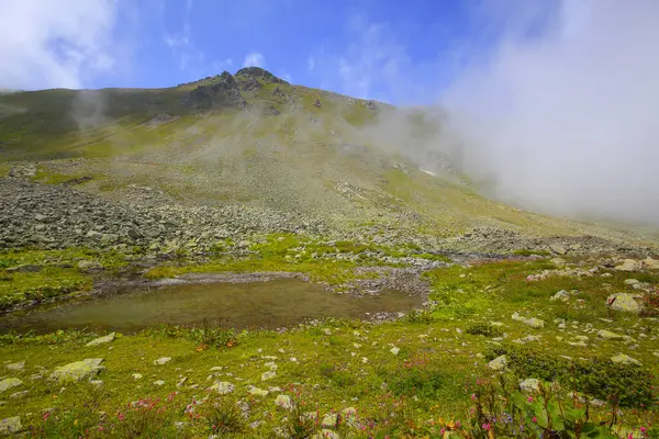 Karagol, Türkiye 'nin Karadeniz bölgesinde, Giresun iline bağlı bir bölgedir..