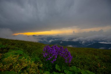 Hakkari, cennet ve cehennem vadisi.