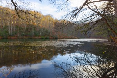 Yedigller Ulusal Parkı, Bolu ilinin sınırları içinde, doğal güzelliği ile ünlü, doğa severler ve gezginlerin favorisi haline geldi..