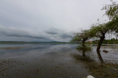 Glyaz, Bursa 'nın en zengin antik yerleşim yerlerinden biridir. Derin bir yarımadada kurulmuş olan Glyaz 'ın tarihi M.Ö. 6. yüzyıla dayanıyor..