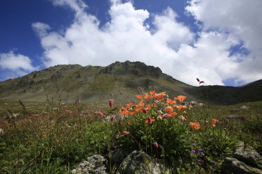 Kackar Dağları Ulusal Parkı ve dağ gölleri