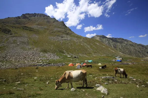 Kackar Dağları Ulusal Parkı ve dağ gölleri