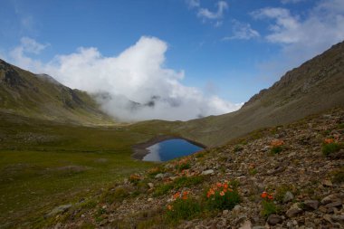 Kackar Dağları Ulusal Parkı, Doğal yaşam ve manzara