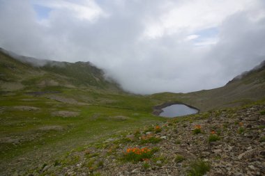 Kackar Dağları Ulusal Parkı, Doğal yaşam ve manzara