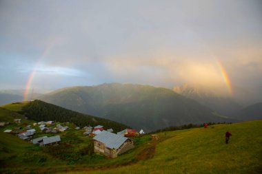 Kackar Dağları Ulusal Parkı, Doğal yaşam ve manzara