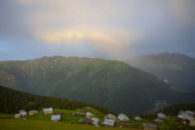 Kackar Dağları Ulusal Parkı, Doğal yaşam ve manzara