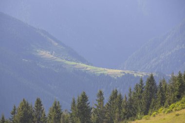 Kackar Dağları Ulusal Parkı, Doğal yaşam ve manzara