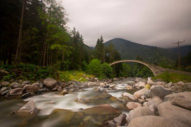 Kackar Dağları Ulusal Parkı, Doğal yaşam ve manzara