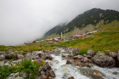 Kackar Mountains National Park, natural life and landscape clipart