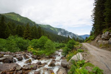 Kackar Dağları Ulusal Parkı, Doğal yaşam ve manzara