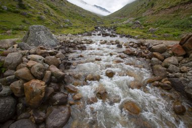 Kackar Dağları Ulusal Parkı, Doğal yaşam ve manzara