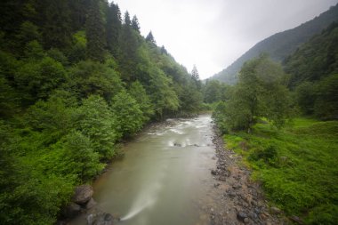 Kackar Dağları Ulusal Parkı, Doğal yaşam ve manzara