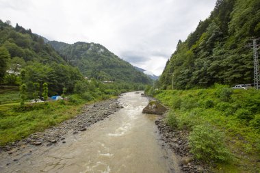 Kackar Dağları Ulusal Parkı, Doğal yaşam ve manzara