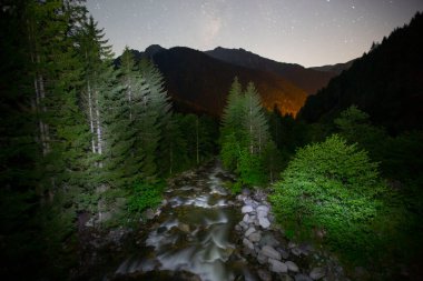 Kackar Dağları Ulusal Parkı, Doğal yaşam ve manzara