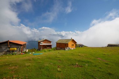 Kackar Dağları Ulusal Parkı, Doğal yaşam ve manzara