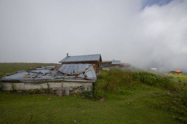 Kackar Dağları Ulusal Parkı, Doğal yaşam ve manzara
