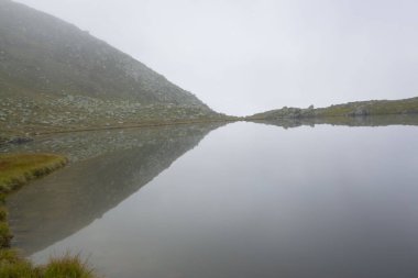 Kackar Dağları Ulusal Parkı, Doğal yaşam ve manzara