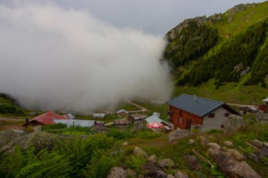 Kackar Dağları Ulusal Parkı, Doğal yaşam ve manzara