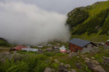 Kackar Mountains National Park, natural life and landscape clipart