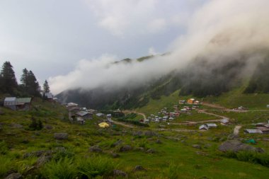 Kackar Dağları Ulusal Parkı, Doğal yaşam ve manzara