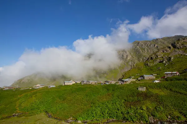 Kackar Dağları Ulusal Parkı, Doğal yaşam ve manzara