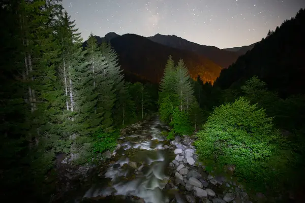 Kackar Dağları Ulusal Parkı, Doğal yaşam ve manzara