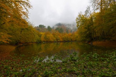 Yedi Göl Ulusal Parkı Doğal yaşam alanı