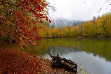 Yedi Göl Ulusal Parkı Doğal yaşam alanı