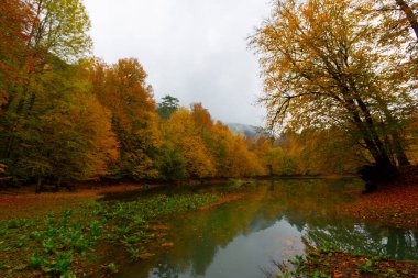 Yedi Göl Ulusal Parkı Doğal yaşam alanı