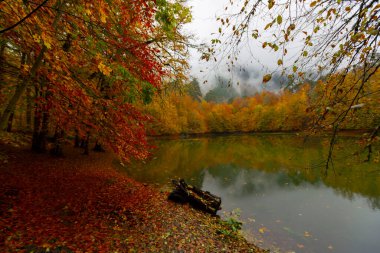 Yedi Göl Ulusal Parkı Doğal yaşam alanı