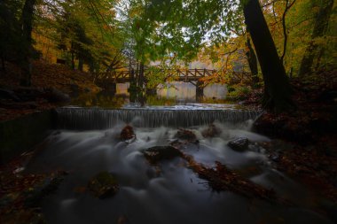 Yedi Göl Ulusal Parkı Doğal yaşam alanı