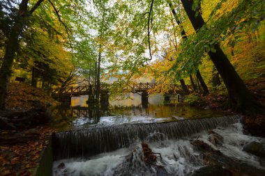 Yedi Göl Ulusal Parkı Doğal yaşam alanı