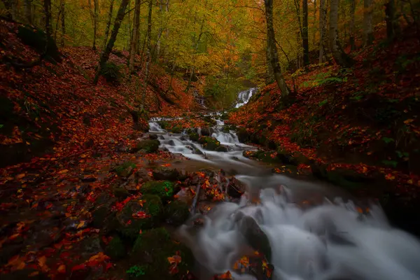 Yedi Göl Ulusal Parkı Doğal yaşam alanı