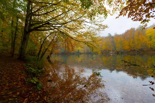 Yedi Göl Ulusal Parkı Doğal yaşam alanı