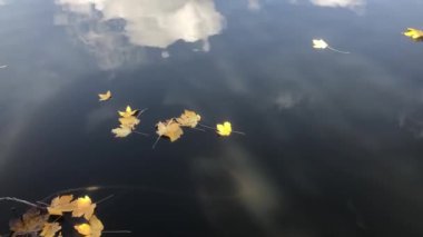 Artvin Savsat, Türkiye 'nin en güzel sonbaharına sahip ilçesidir..