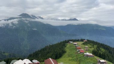 Kackar Dağları ulusal park zamanaşımı videoları